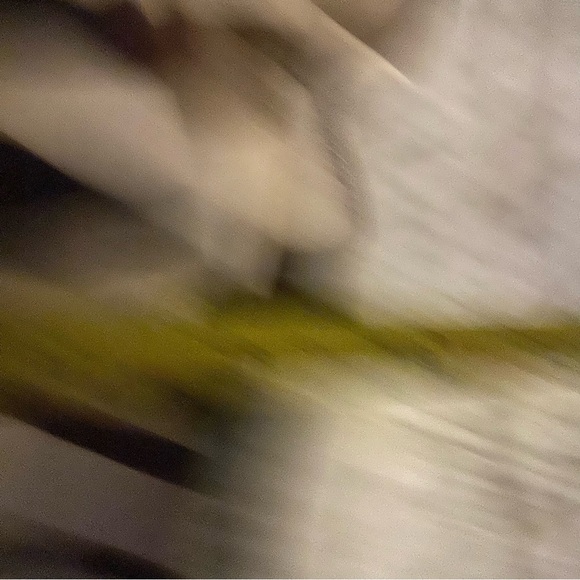 Cabi Zebra Print Top Blouse Womens Medium Brown Tan Flutter Sleeve V Neck Career - Picture 3 of 7